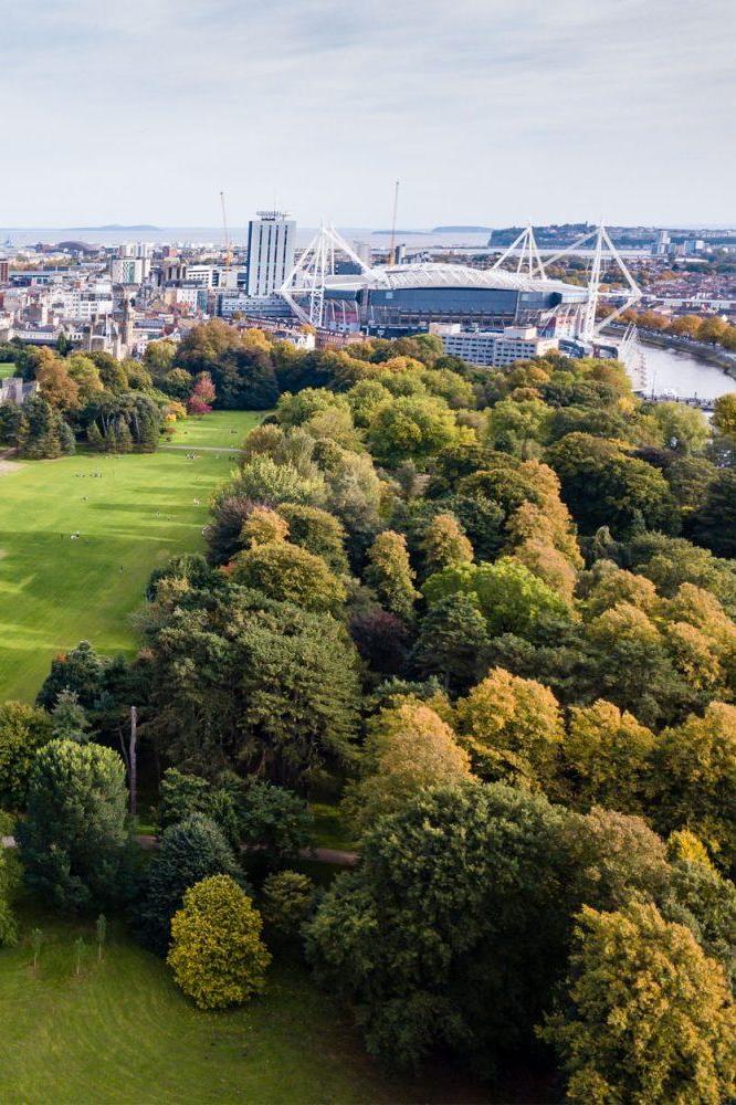 Bute Park