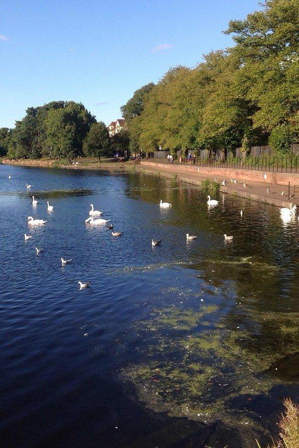 Roath Park